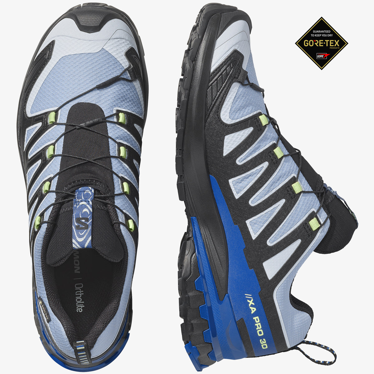 Black/Brunnera Blue/Surf The Web