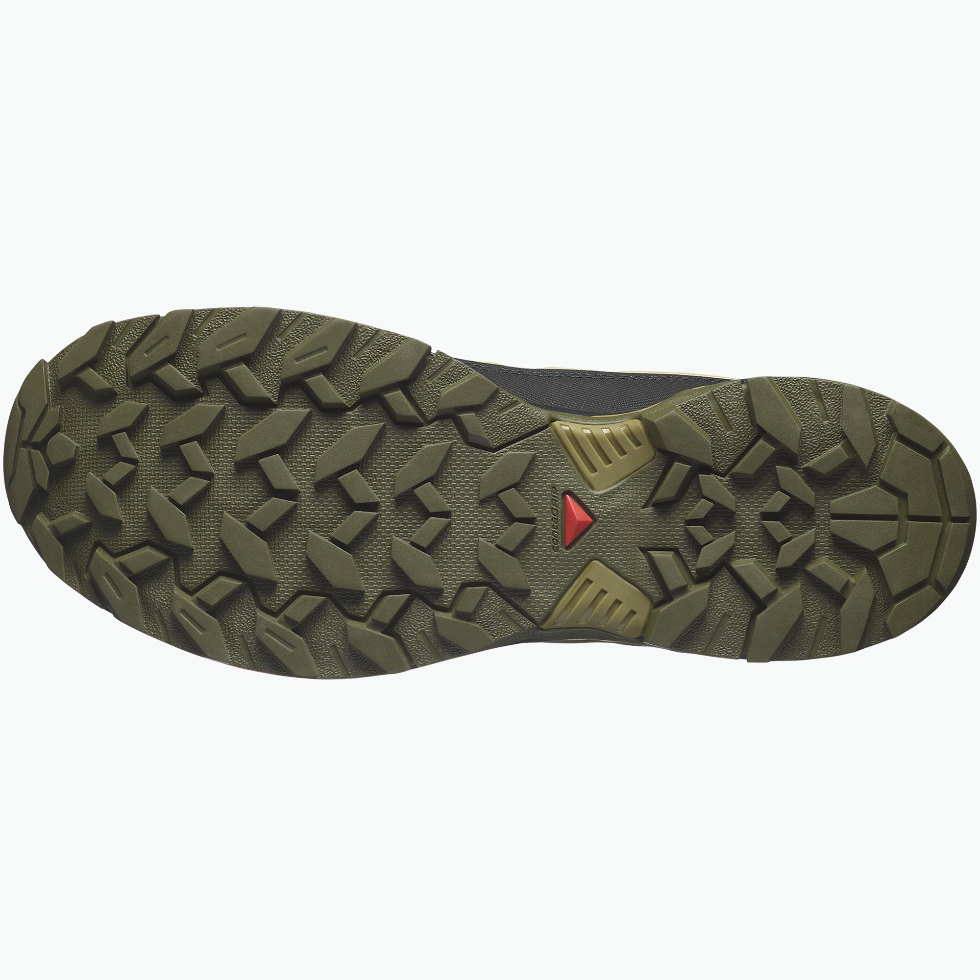 Dried Herb/Olive Night/Black