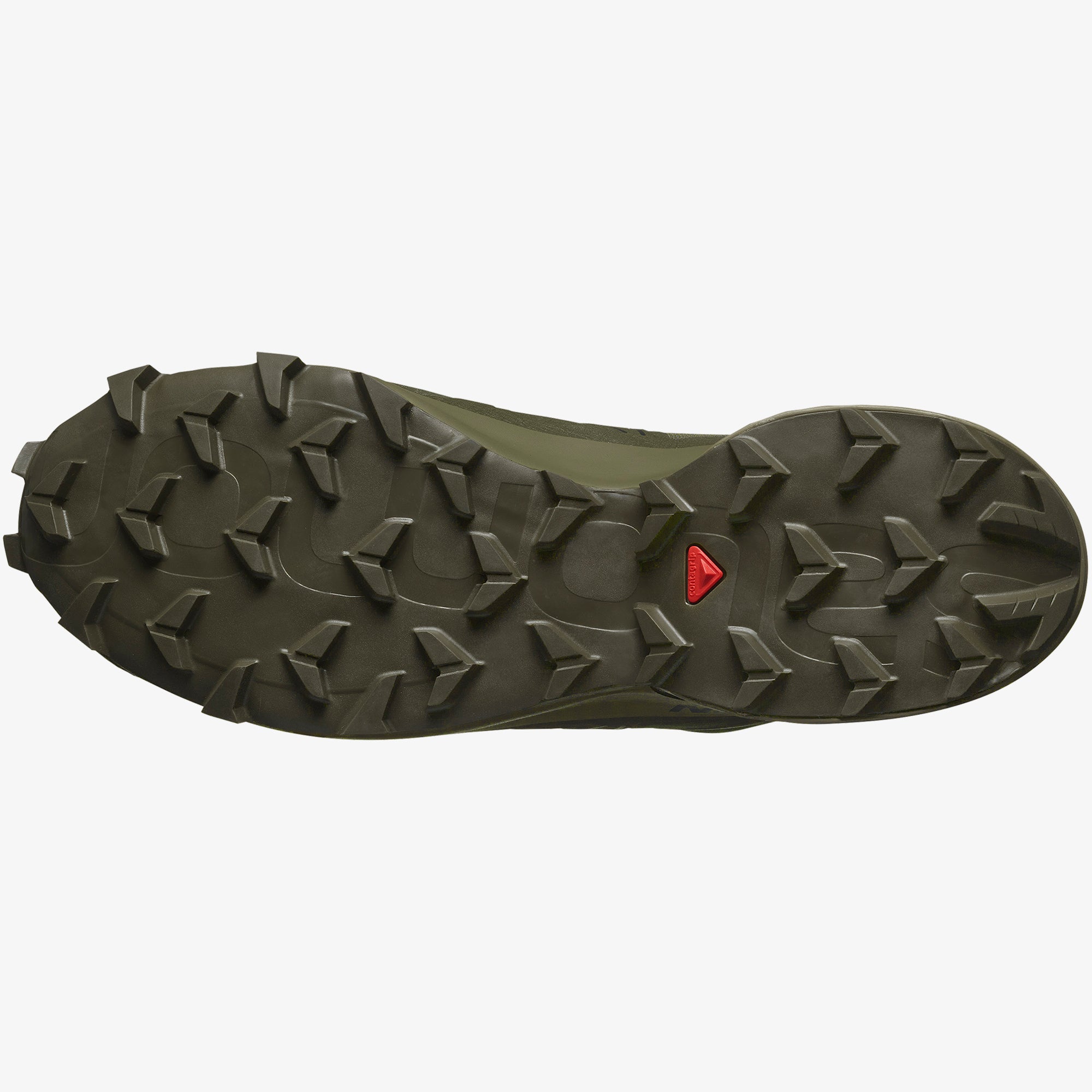 OLIVE NIGHT/ALOE/ASPHALT