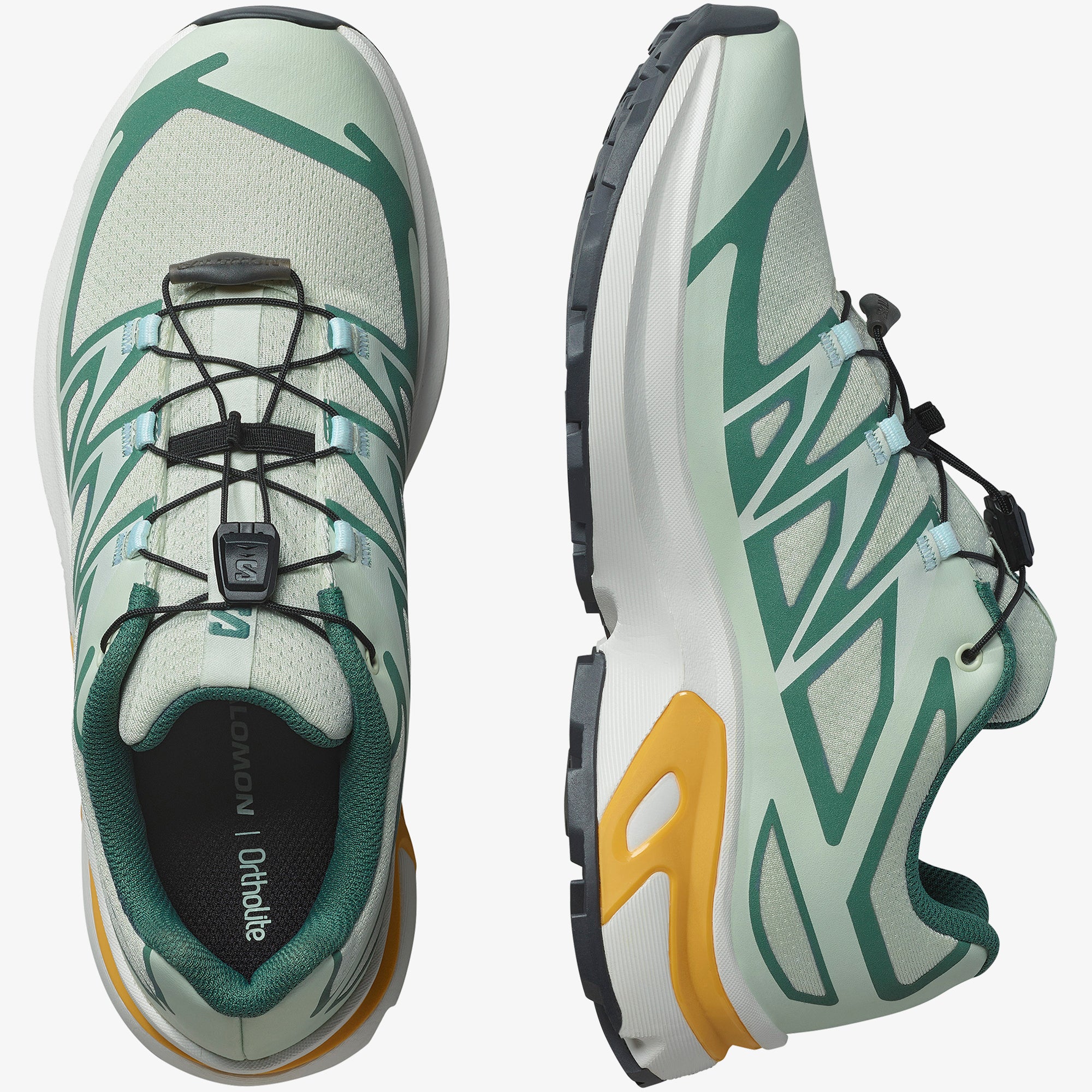 CLEARLY AQUA/NORTH ATLANTIC/WARM APRICOT
