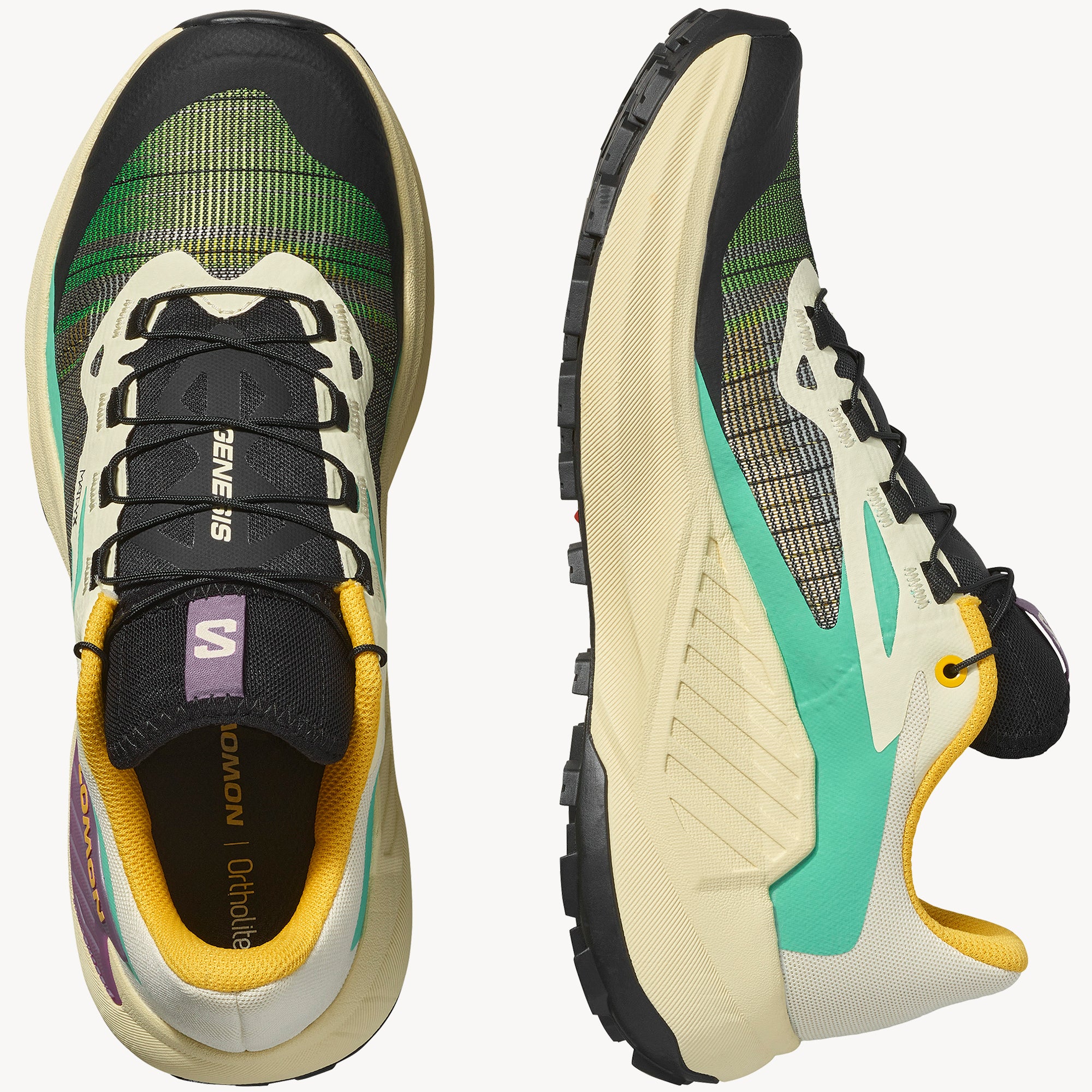 Transparent Yellow/Black/Willowherb