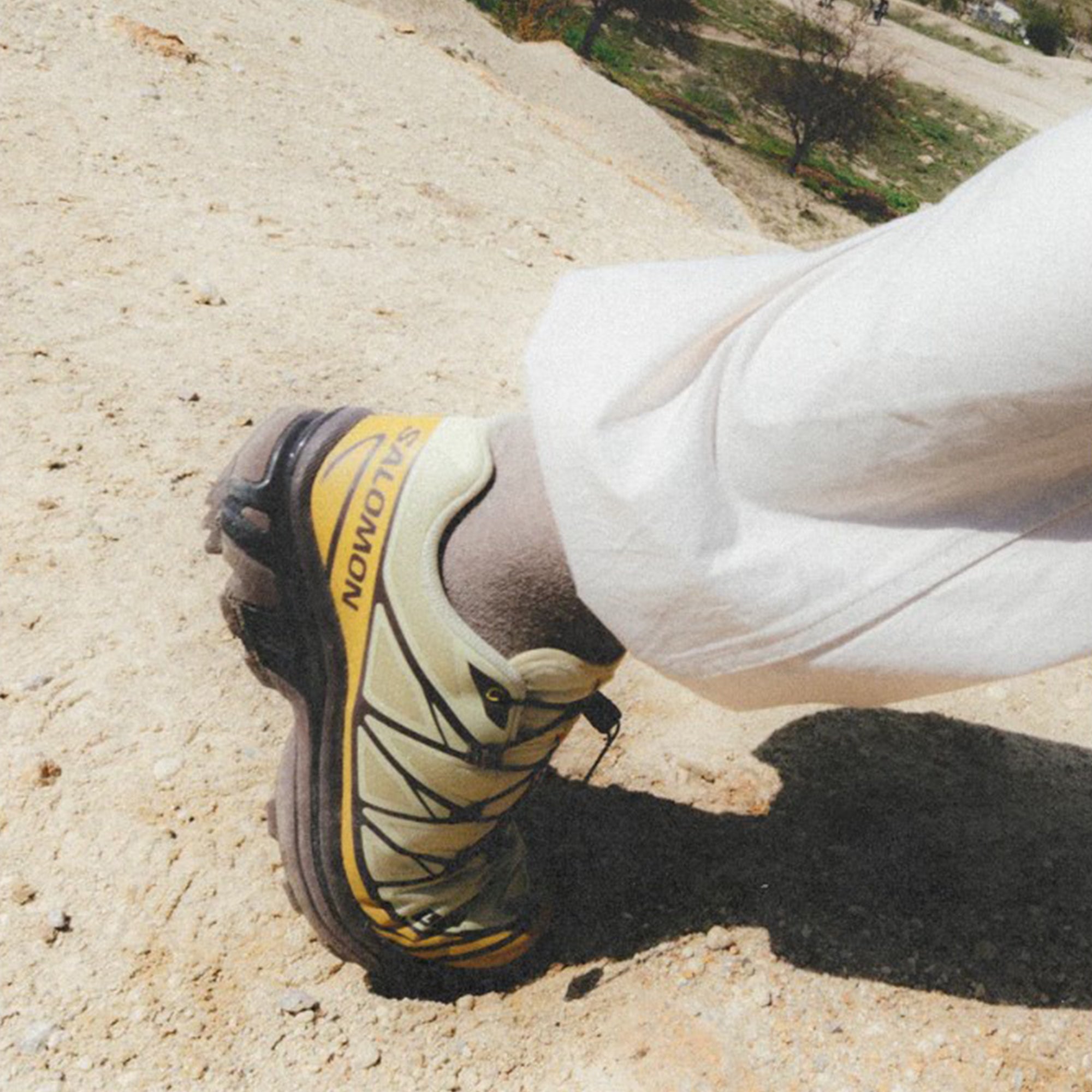 Dusty Yellow/French Roast/Antique Gold