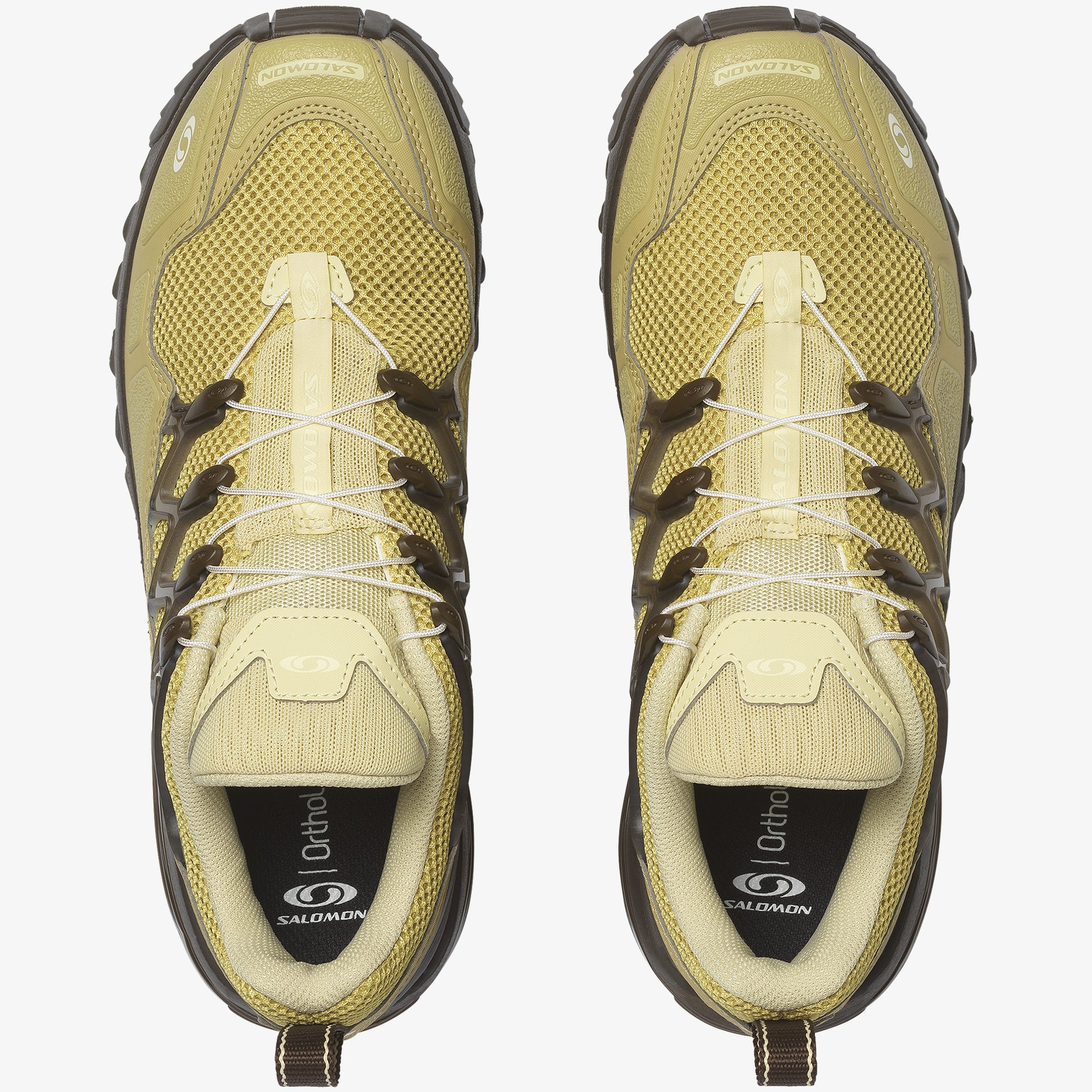 Green Haze/Gray Green/Delicioso