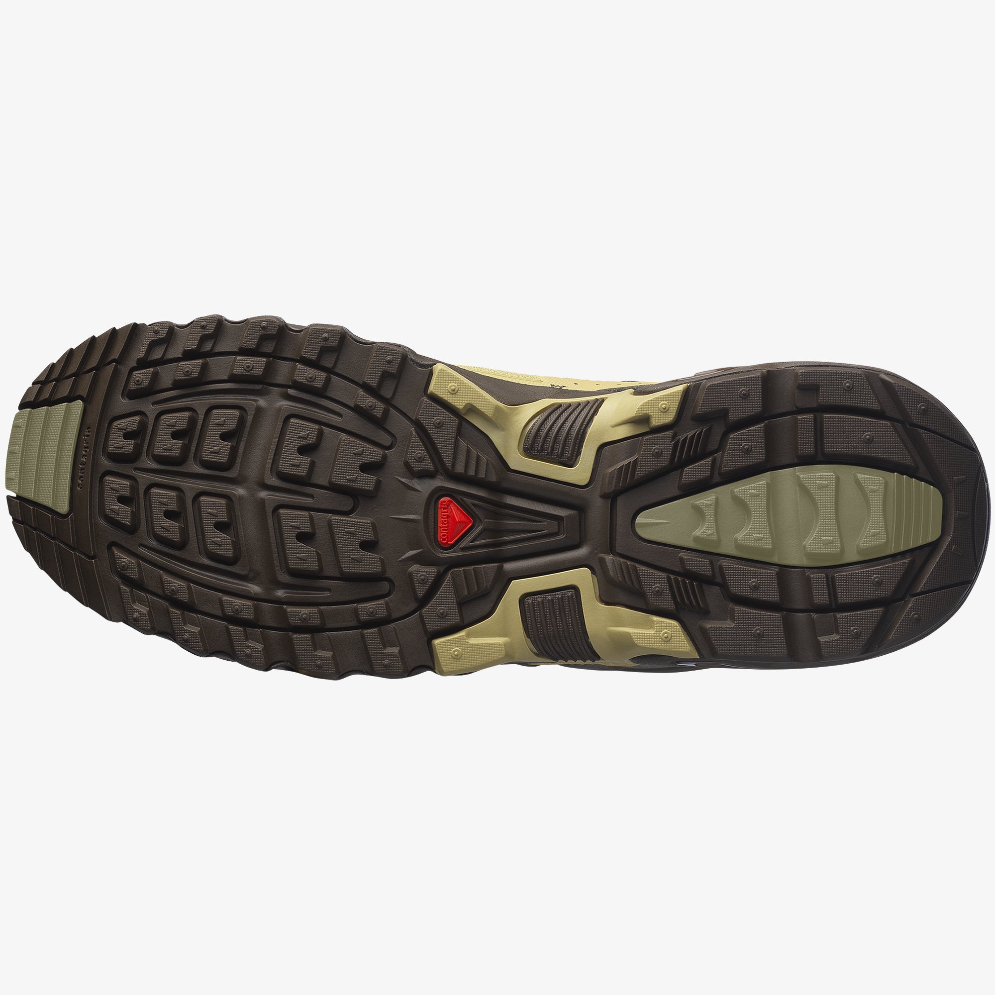 Green Haze/Gray Green/Delicioso