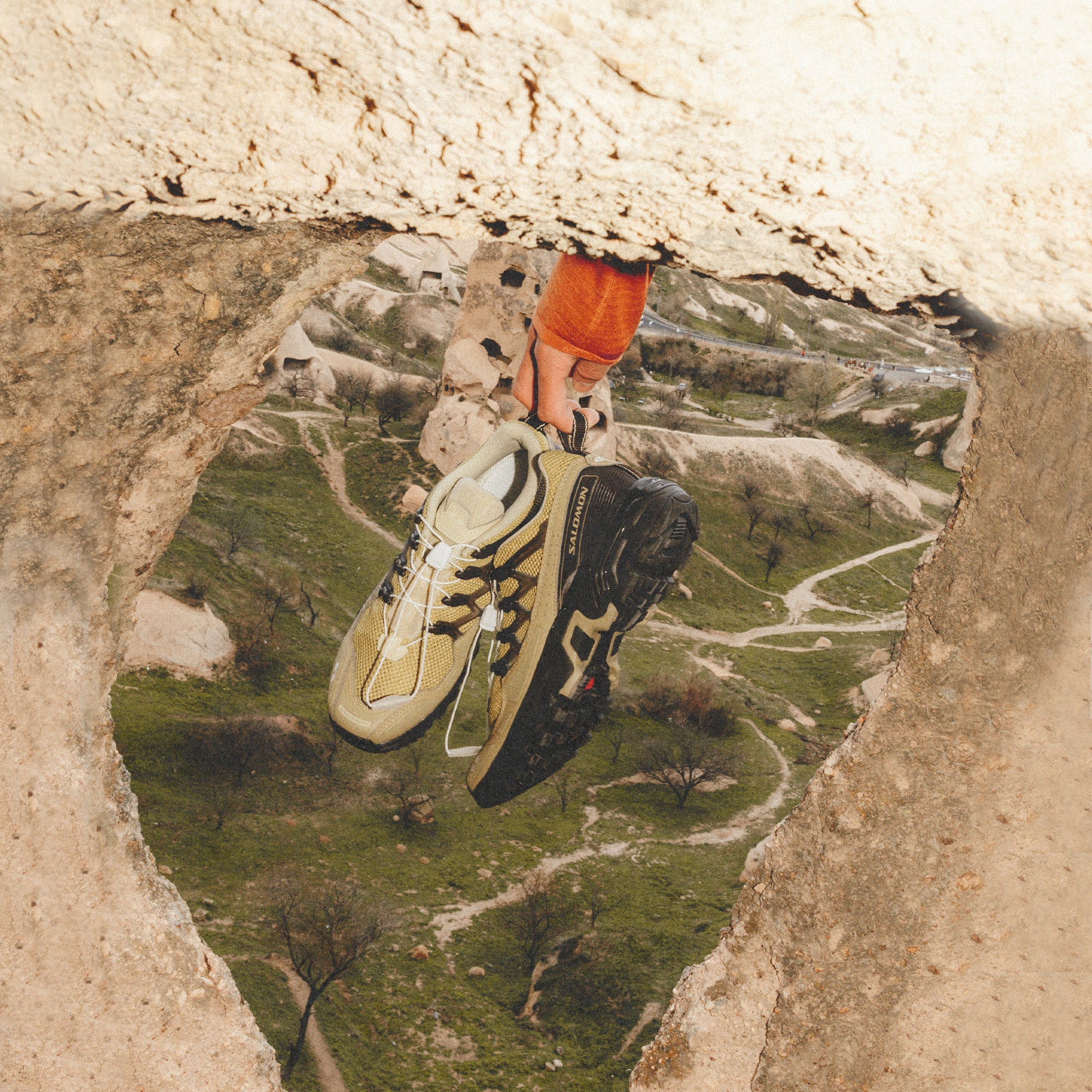 Green Haze/Gray Green/Delicioso