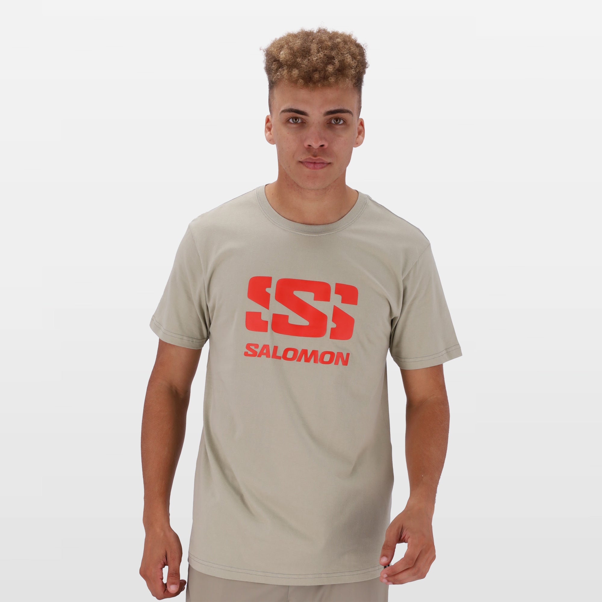 SUSTAINED GREY