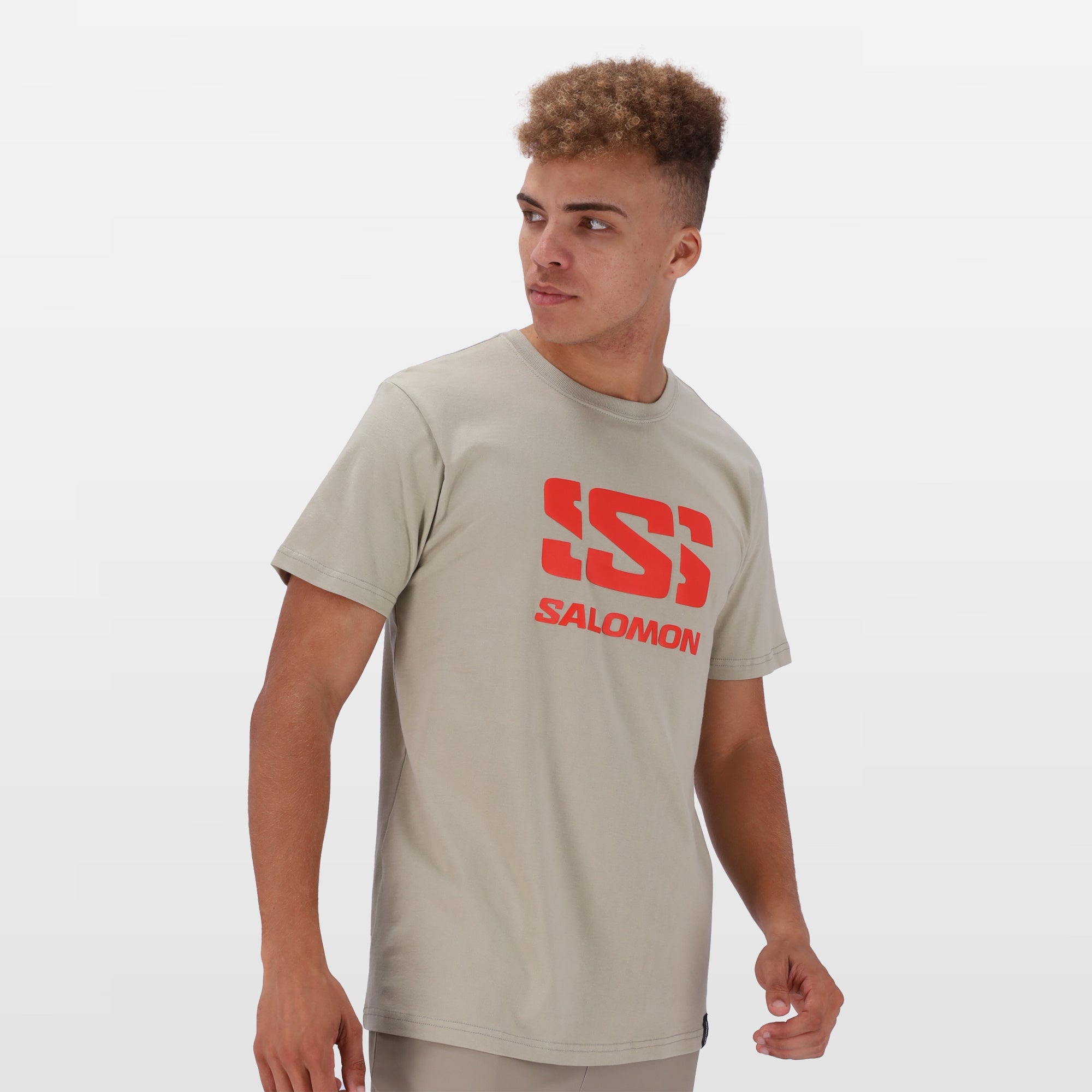 SUSTAINED GREY