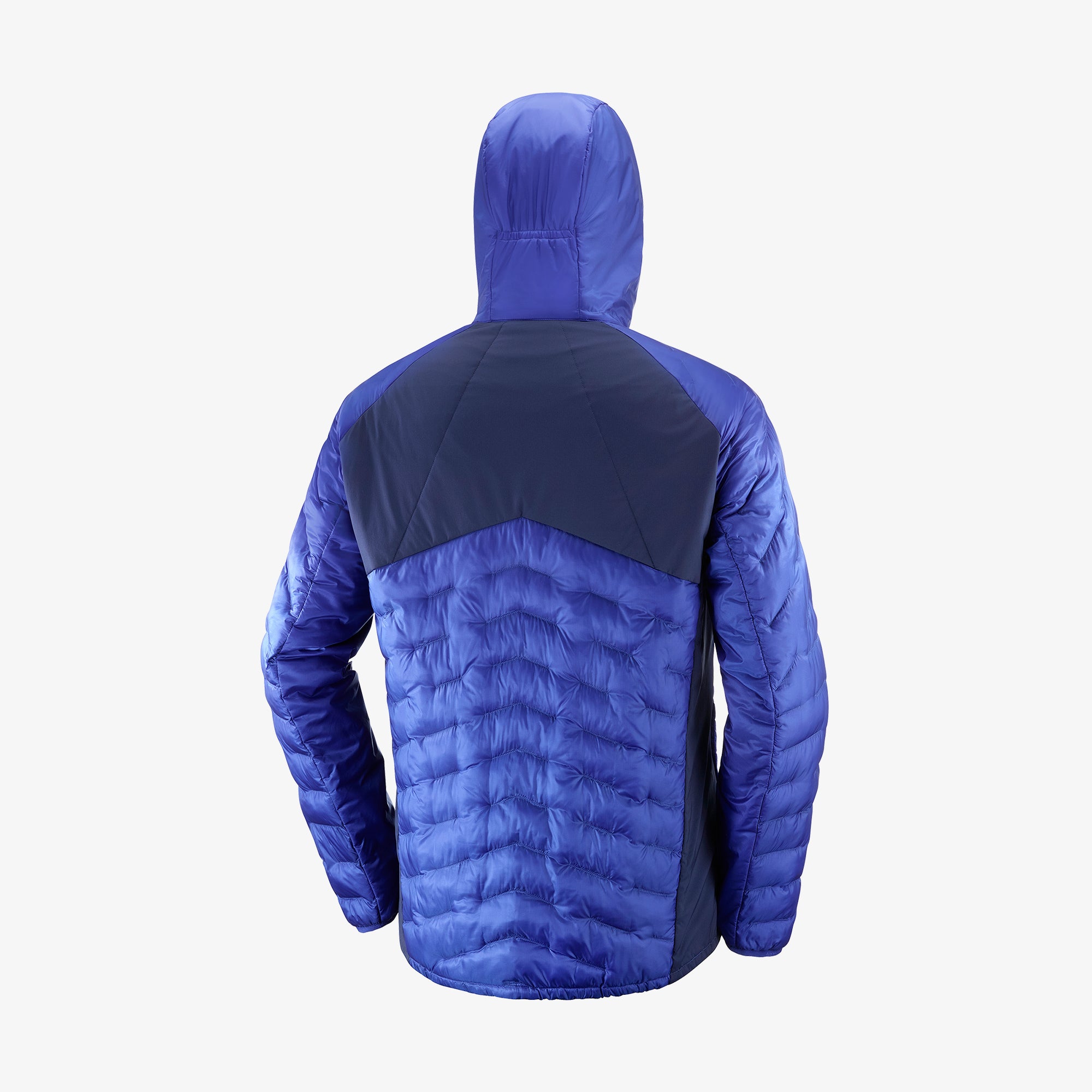 Surf The Web/Navy Iris