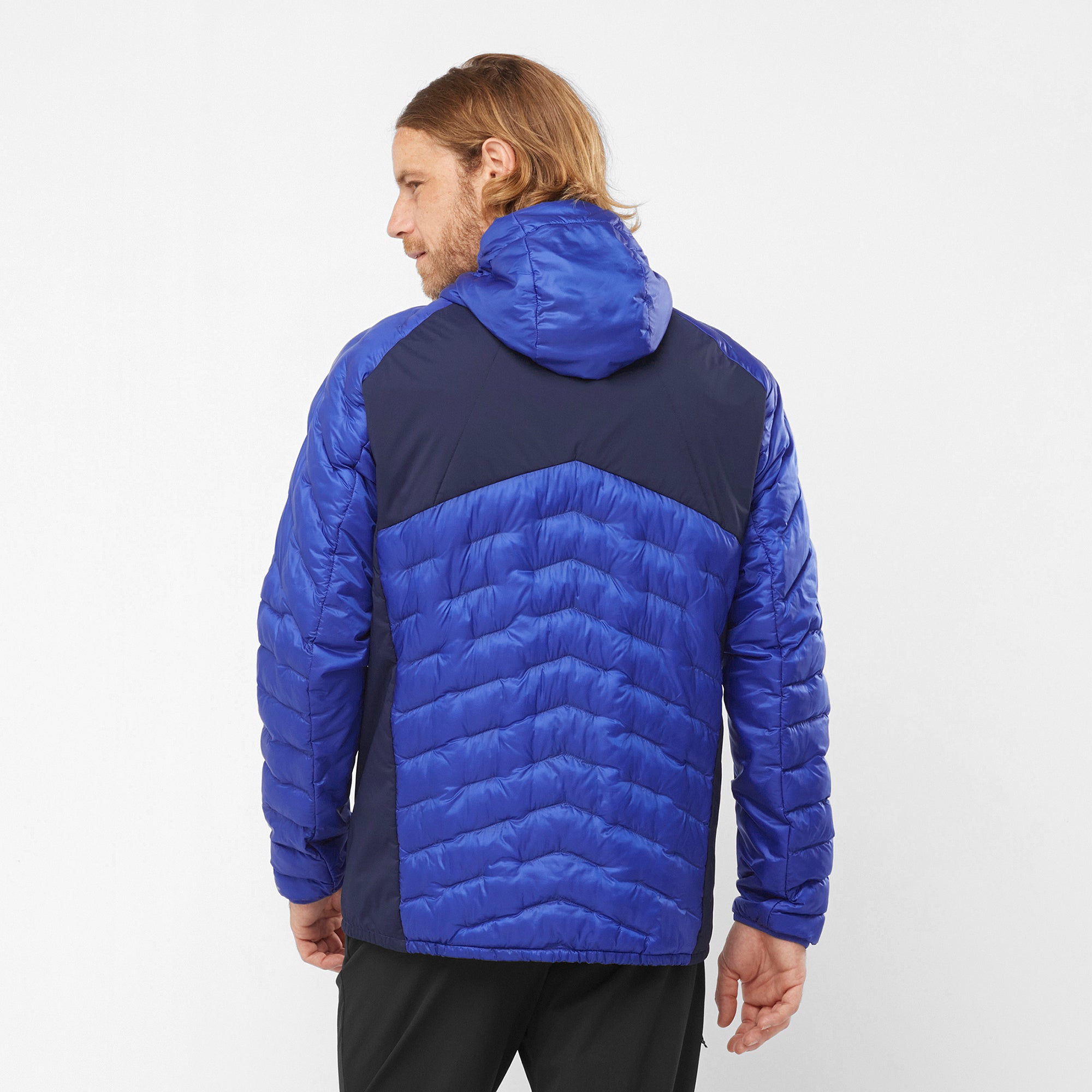 Surf The Web/Navy Iris