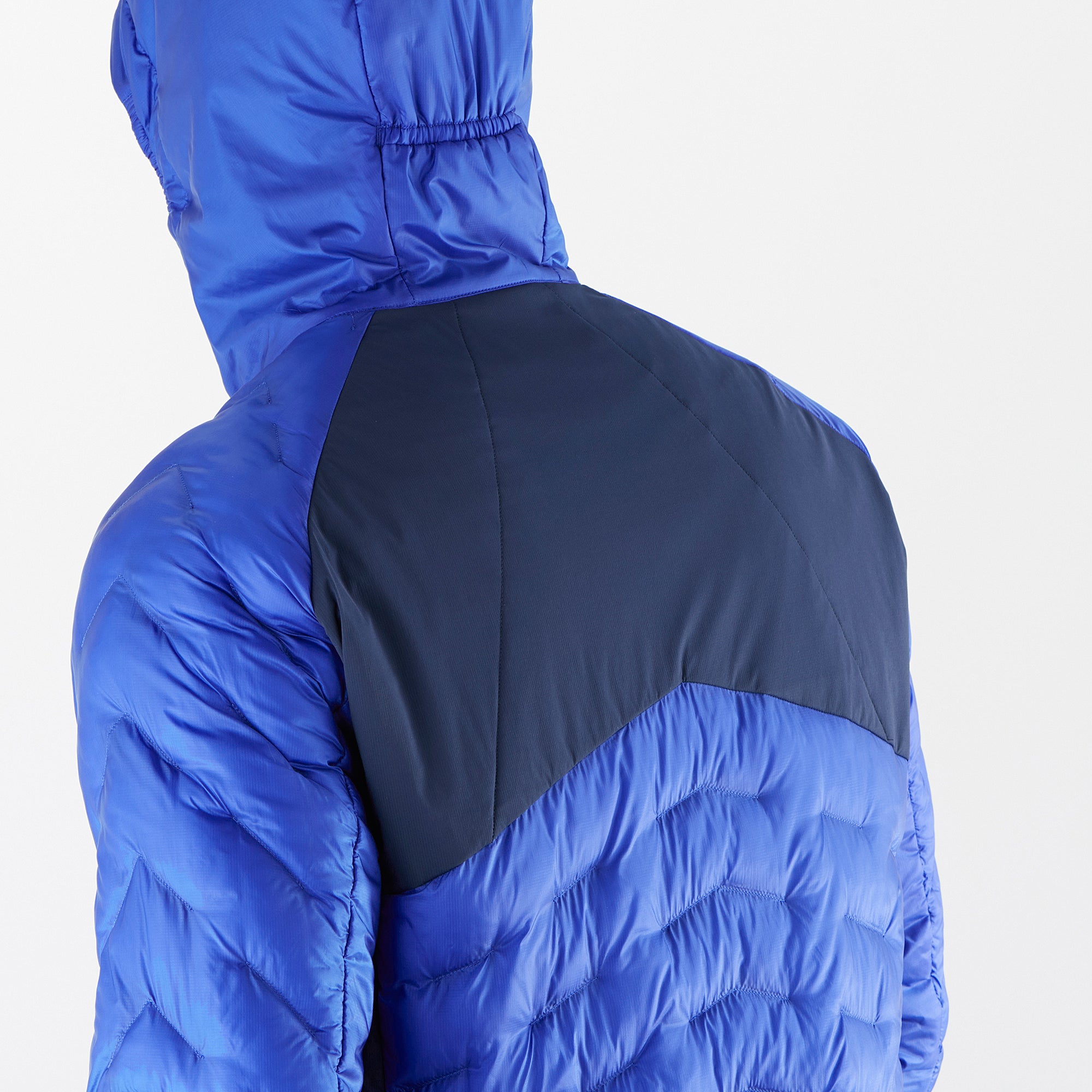 Surf The Web/Navy Iris