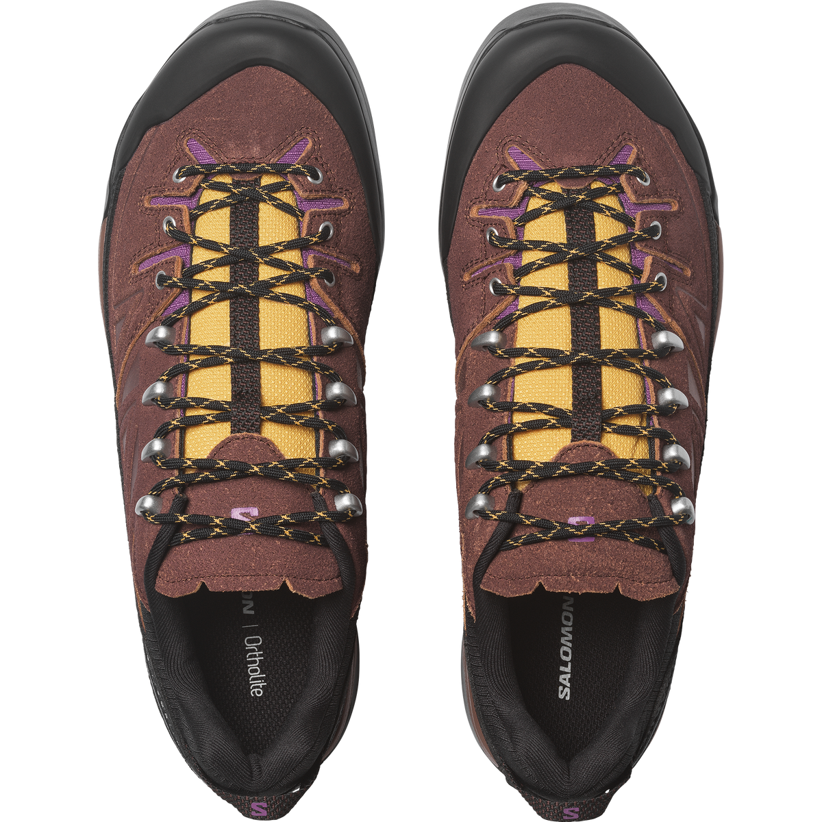 Black/Bitter Chocolate/Concord Grape