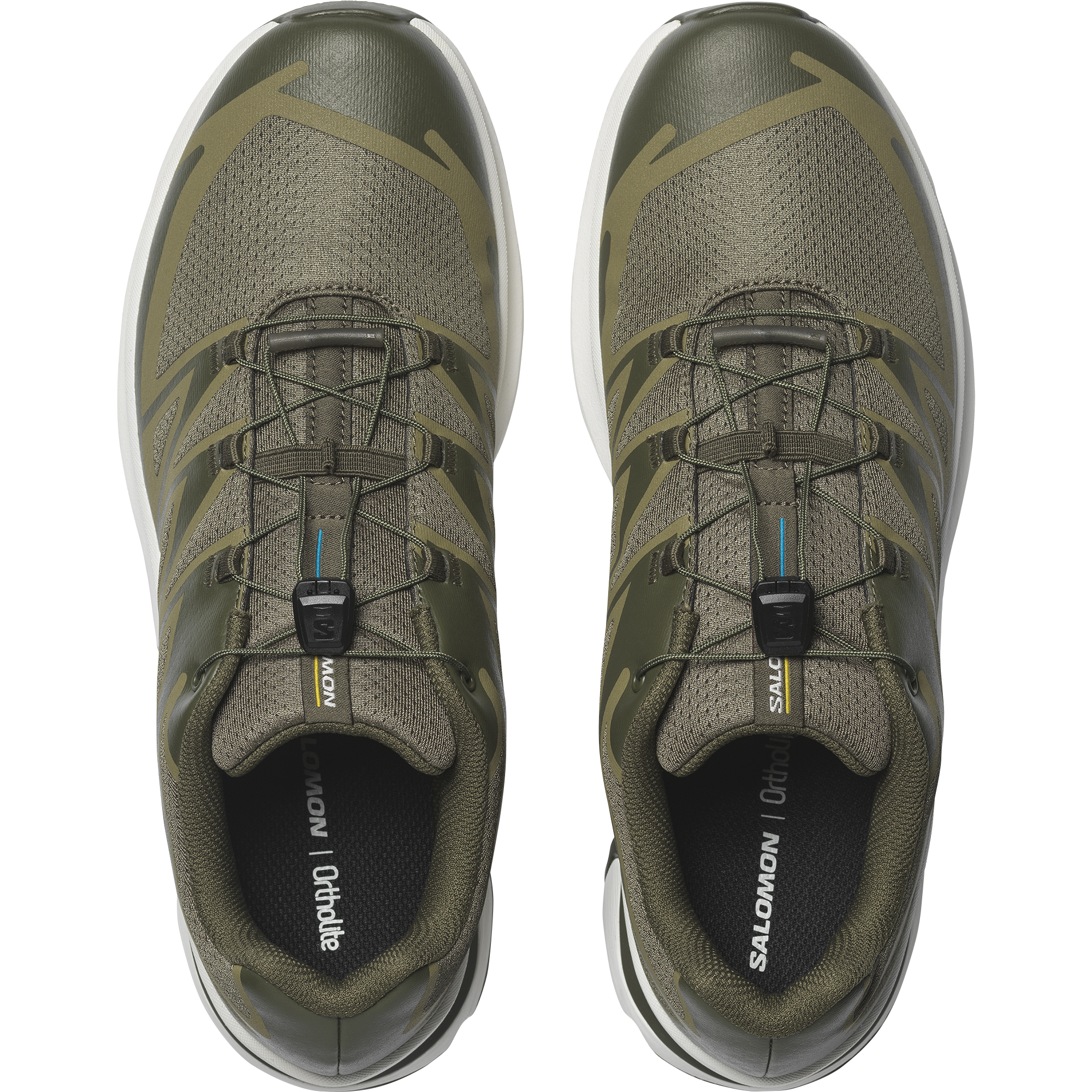 Olive Night/Martini Olive/Olive Night