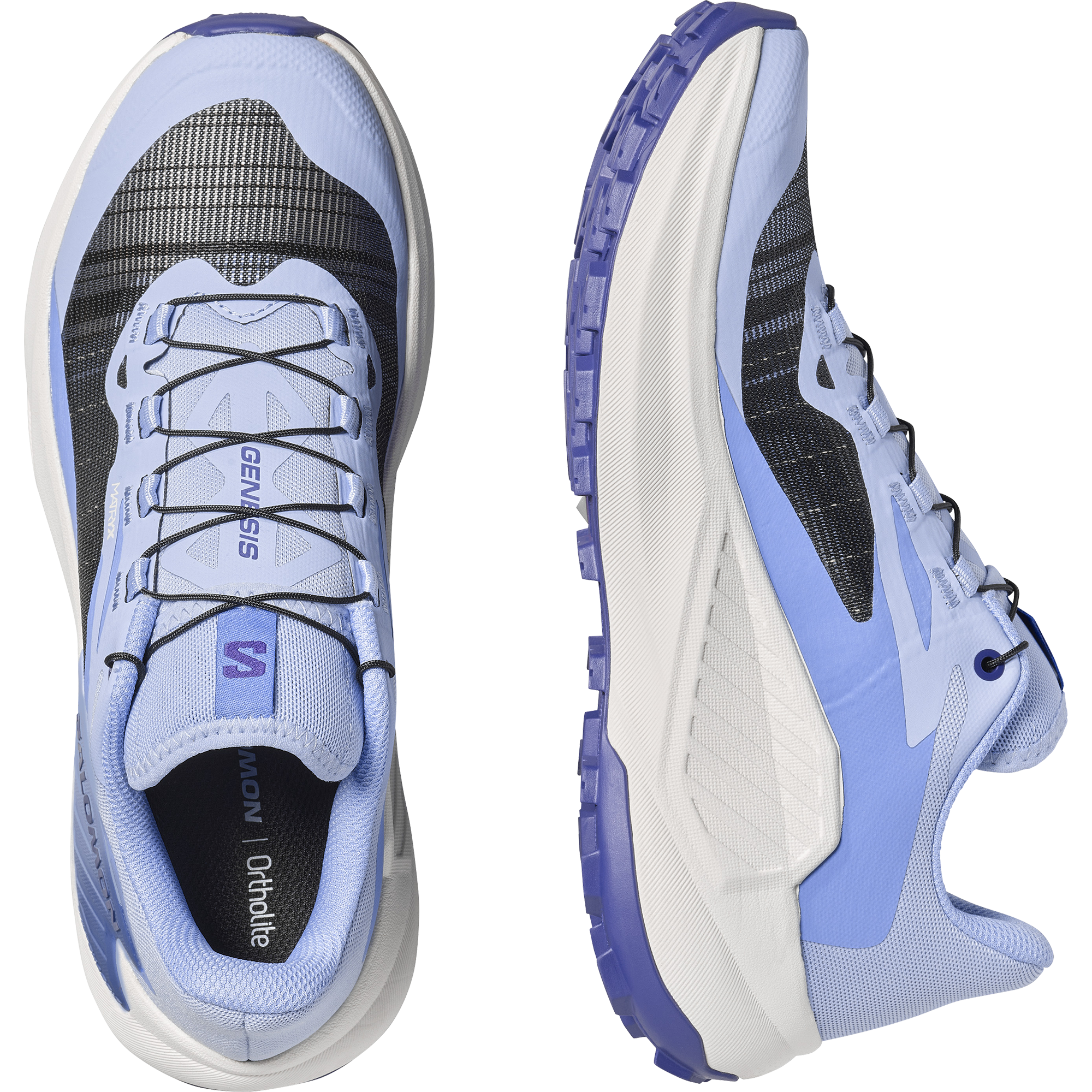 Brunnera Blue/Persian Jewel/Deep Blue