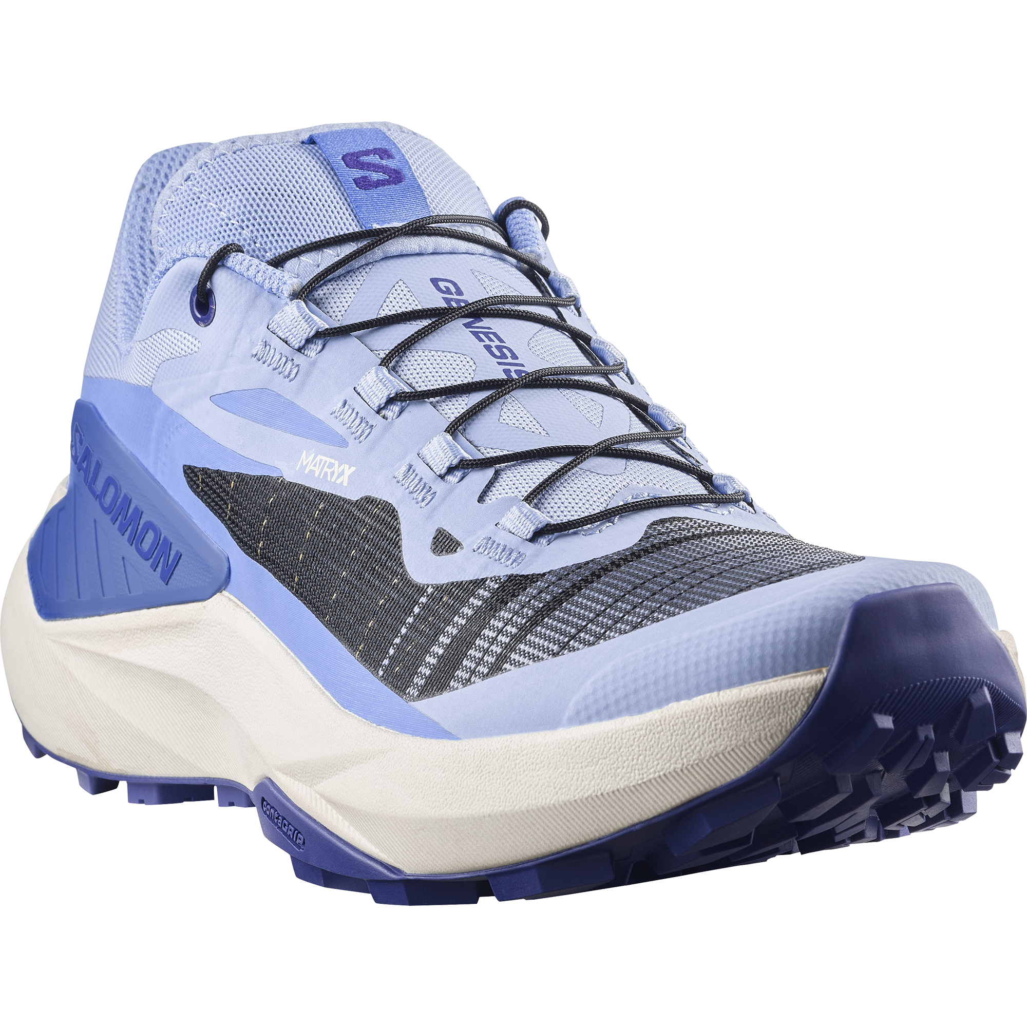 Brunnera Blue/Persian Jewel/Deep Blue