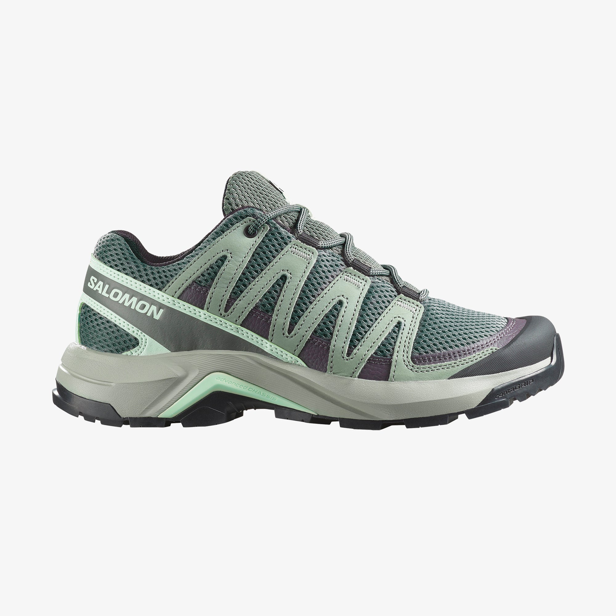 Sedona Sage/Green Milieu/Bay