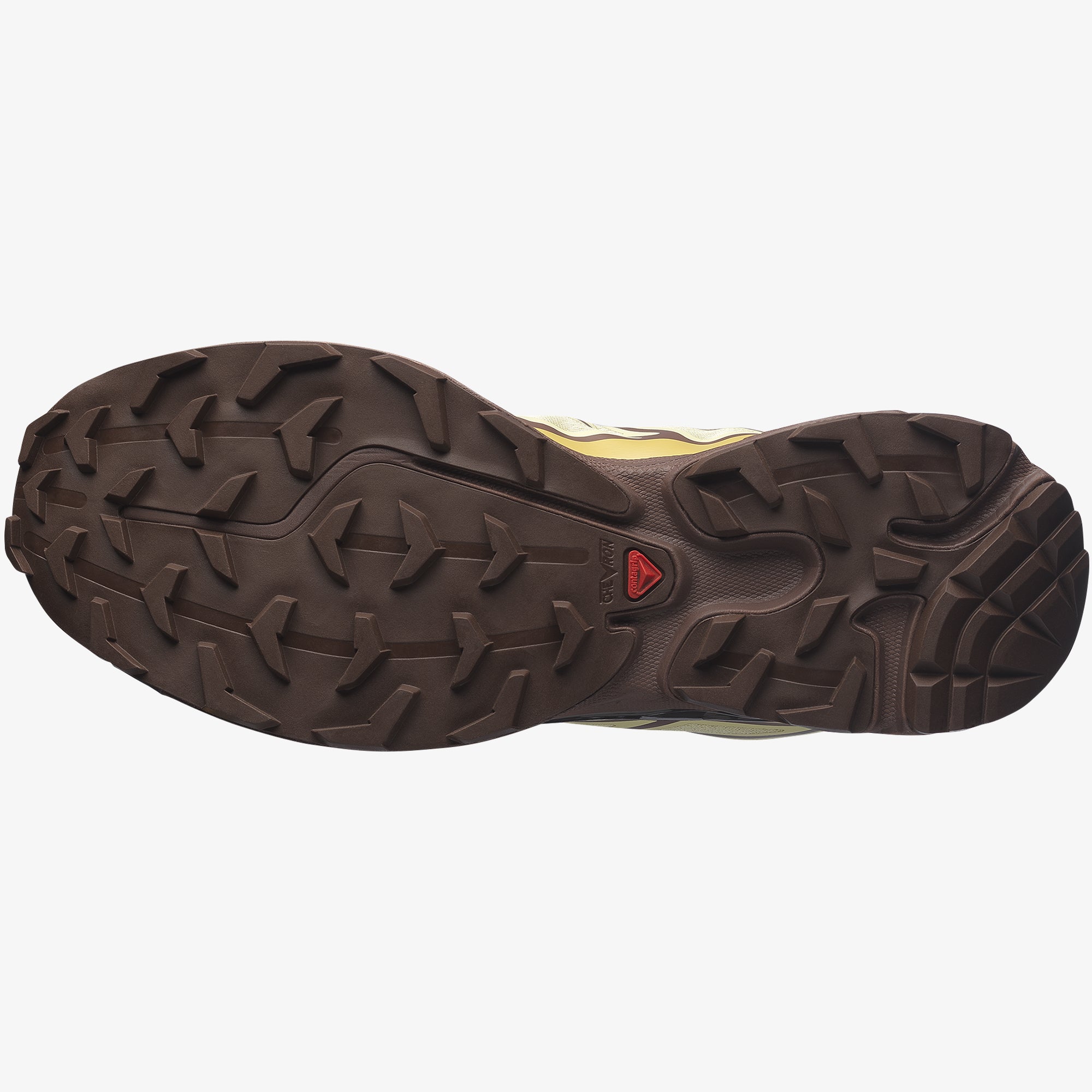 Dusty Yellow/French Roast/Antique Gold