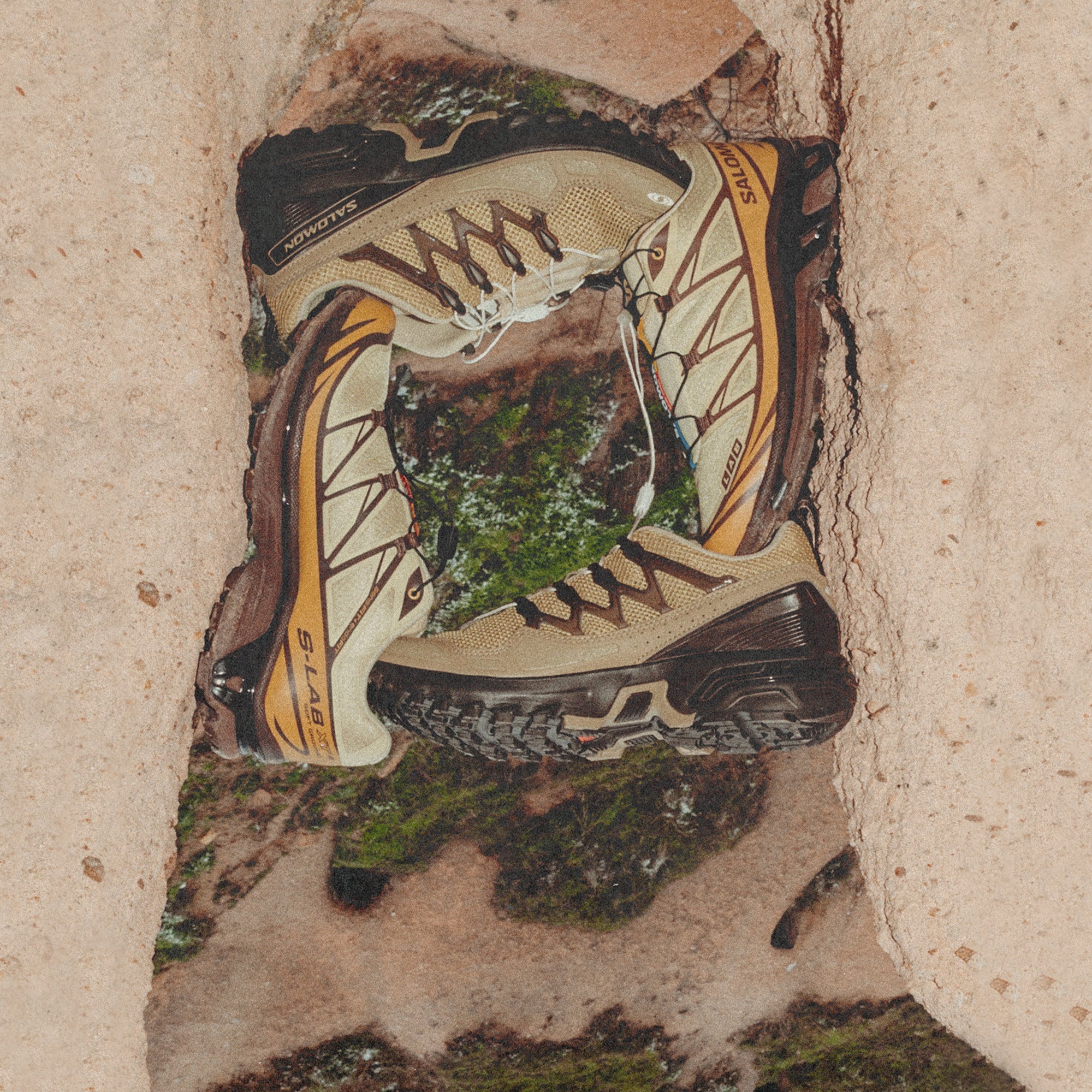 Dusty Yellow/French Roast/Antique Gold