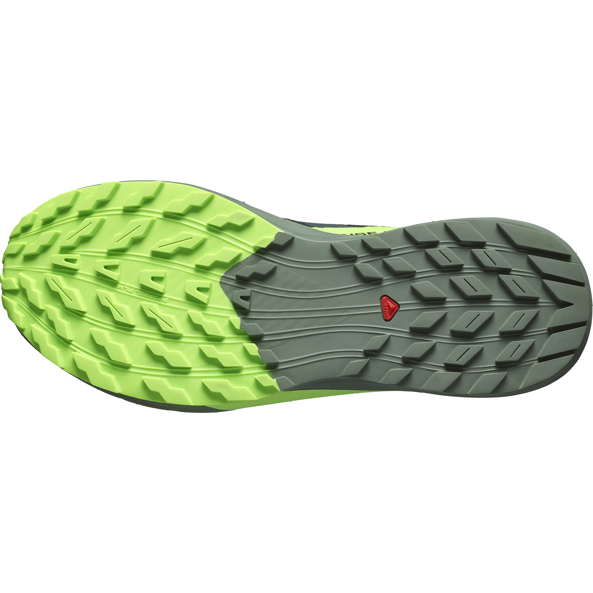 Black/Laurel Wreath/Green Gecko