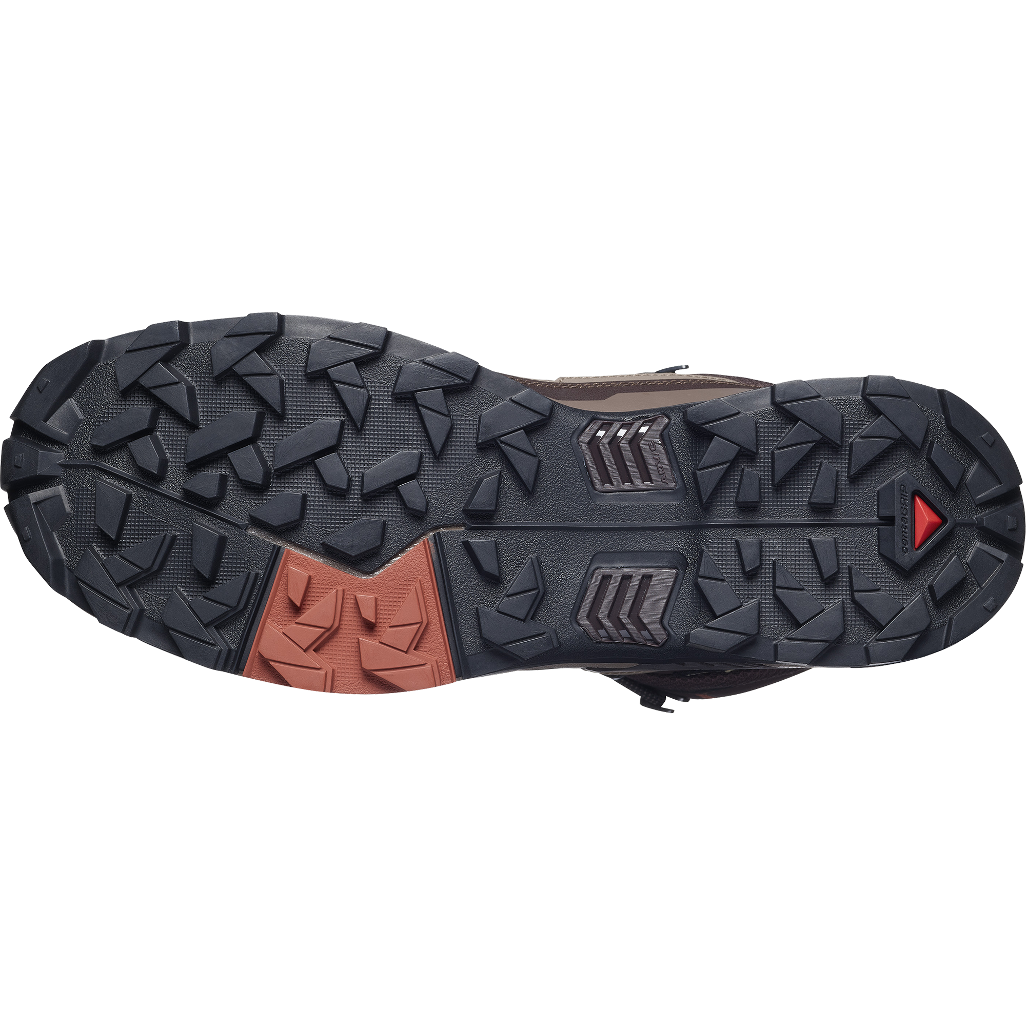 Black Coffee/Walnut/Arabian Spice