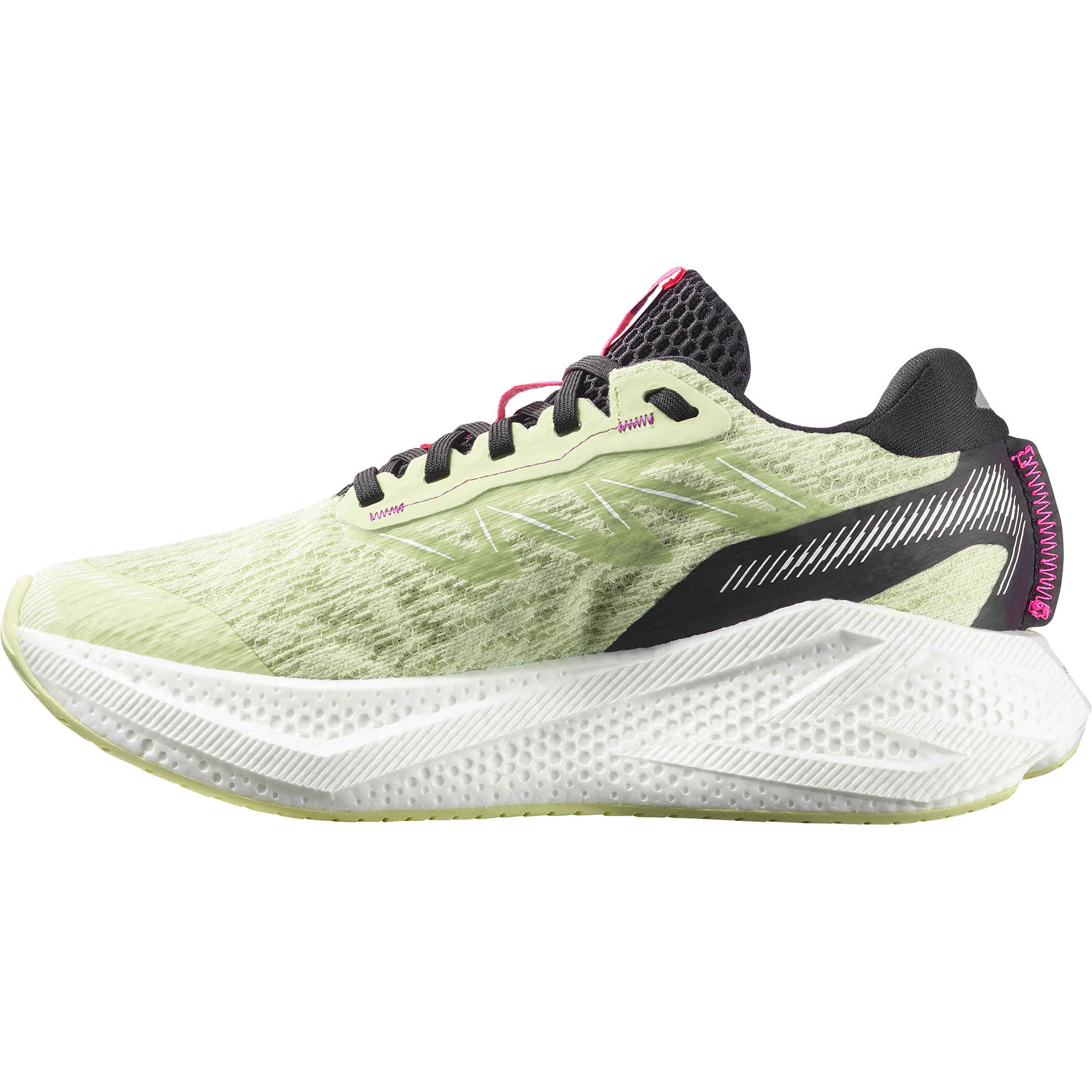 Butterfly/White/Black