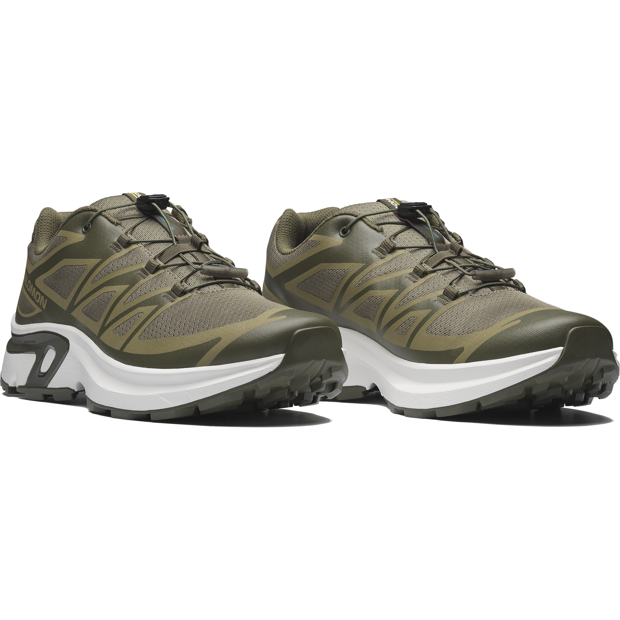 Olive Night/Martini Olive/Olive Night