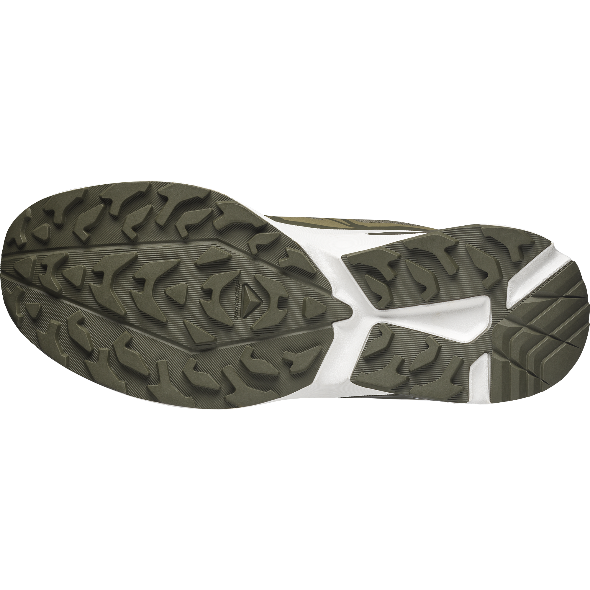 Olive Night/Martini Olive/Olive Night