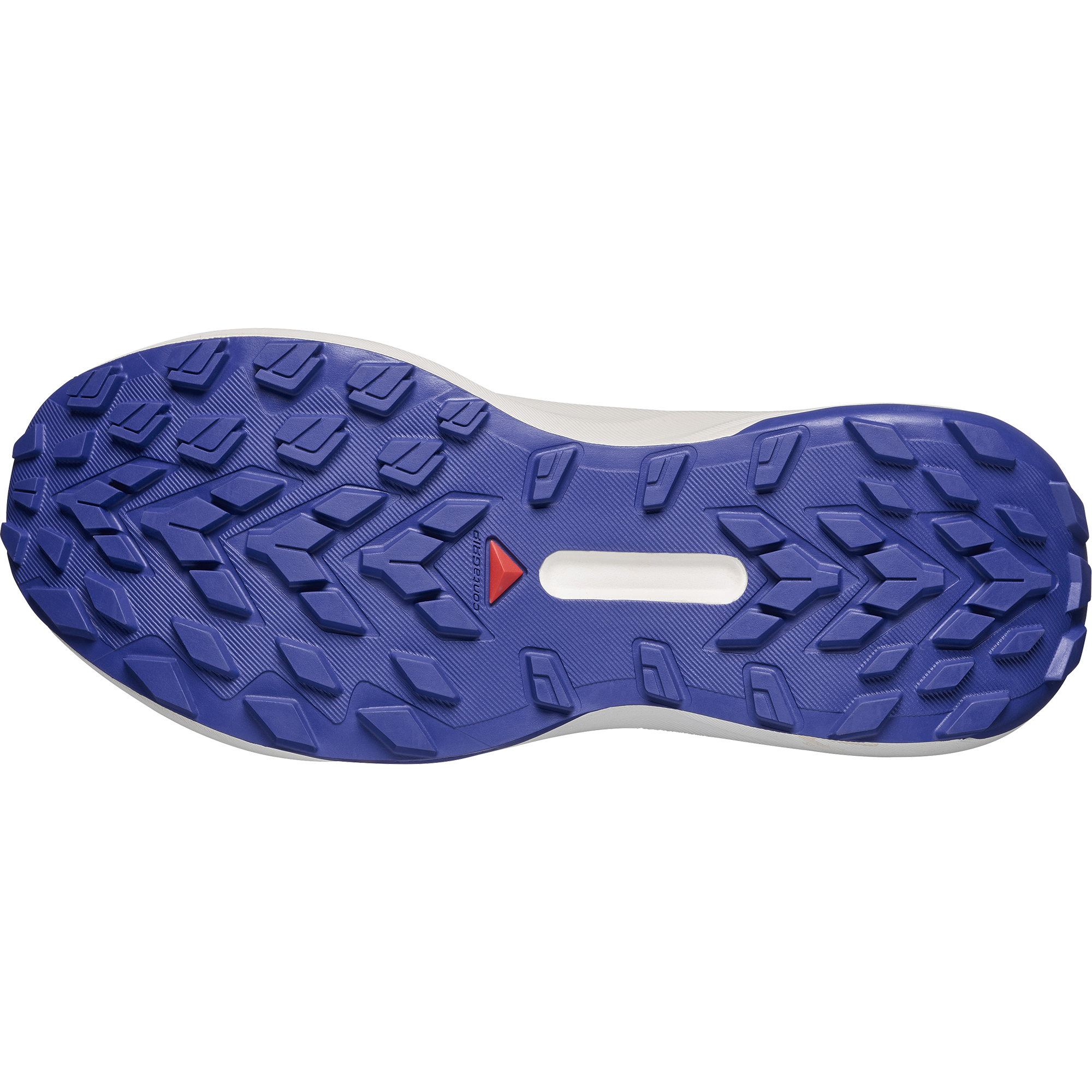 Brunnera Blue/Persian Jewel/Deep Blue