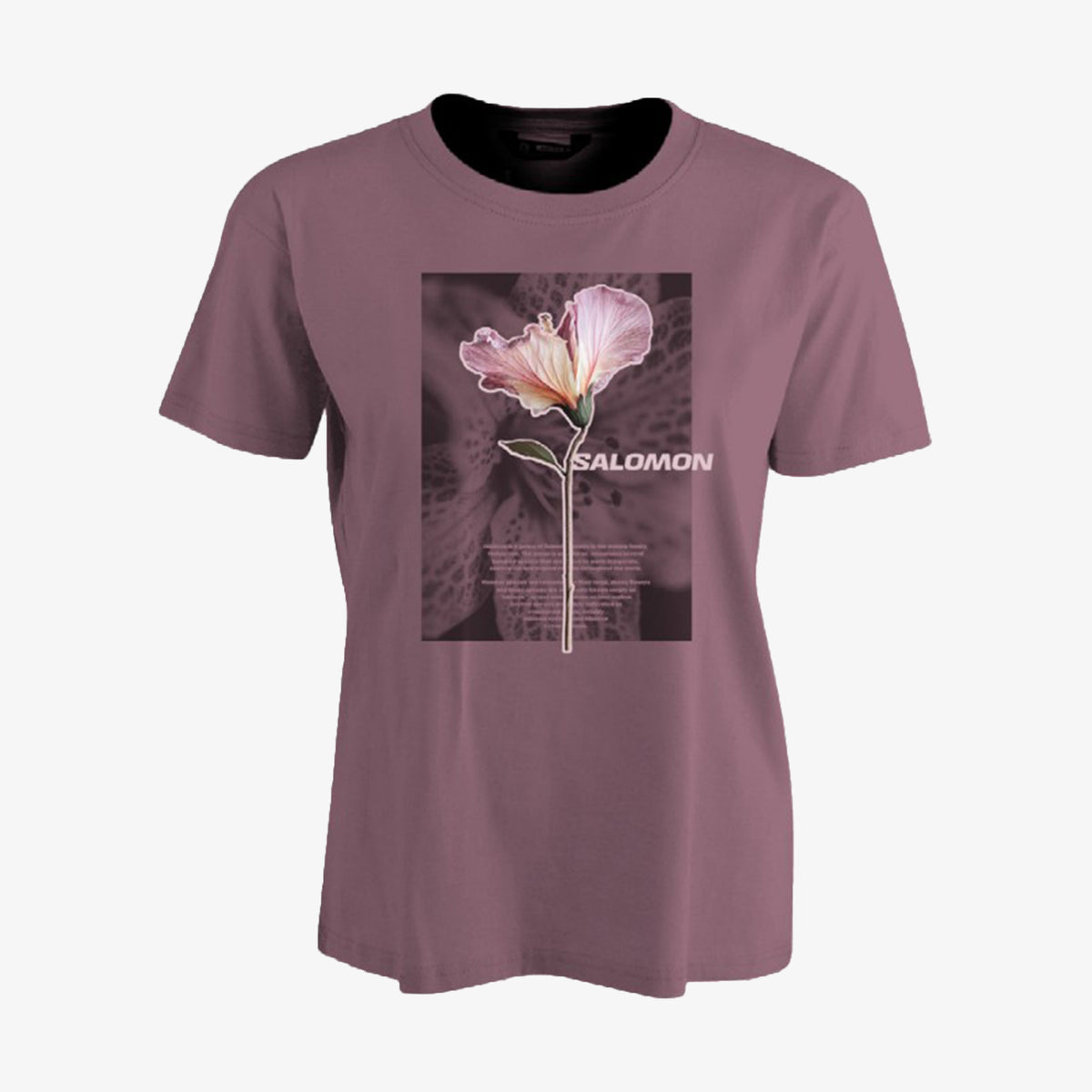 DUSKY ORCHID